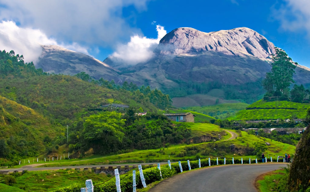 Explore the True Heaven On Earth- Munnar!