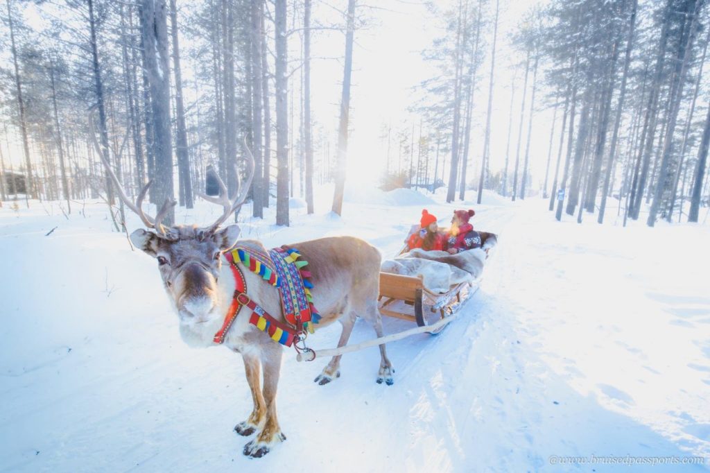The Perfect Guide For Exploring Lapland, Finland Country Holidays Inn