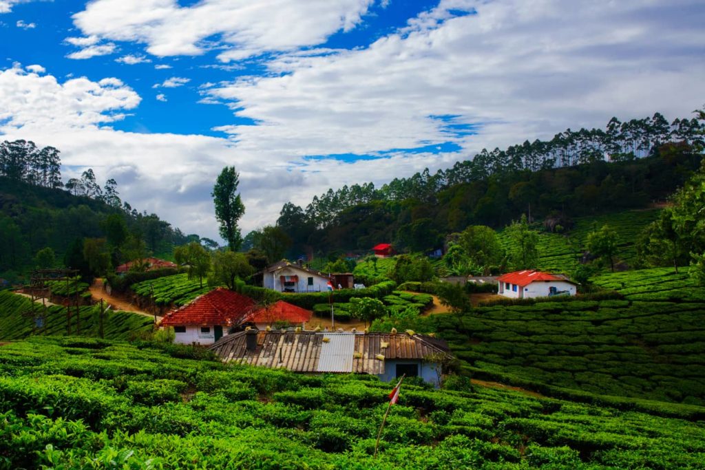 Explore the True Heaven On Earth- Munnar!