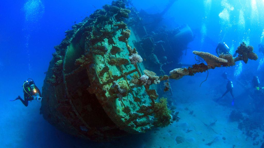 Discover The Ocean World With Wreck Diving!