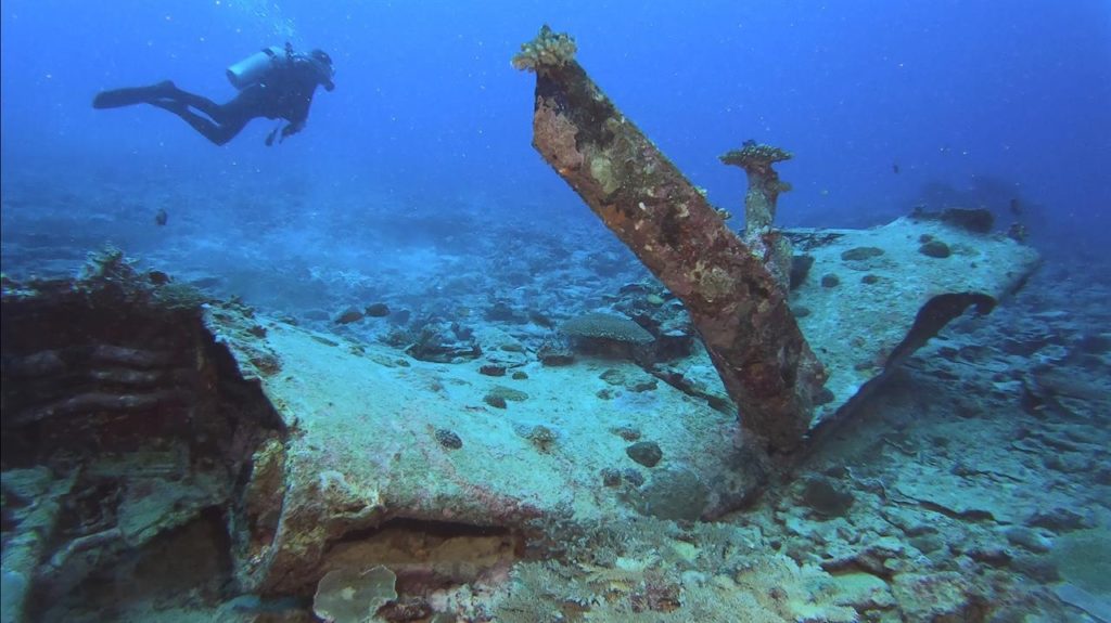 Discover The Ocean World With Wreck Diving!