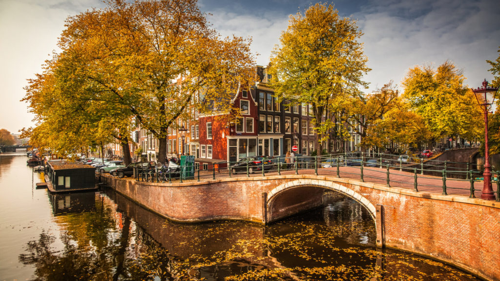 Wander into the Magical Netherlands