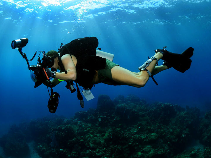 Explore the World Beneath The Waters With Underwater Diving