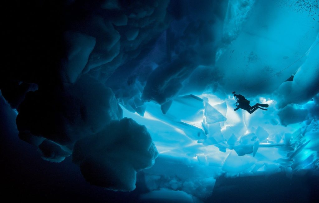 Ice Diving: Experience The Exquisite Fun Underwater!