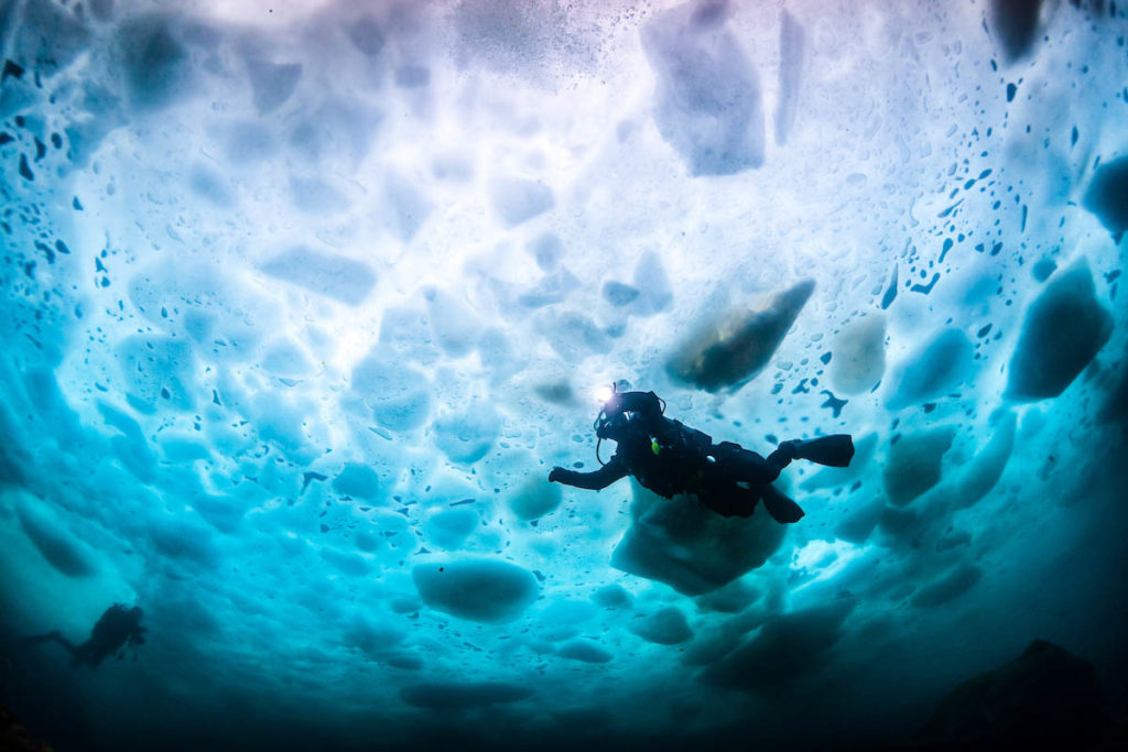 Ice Diving: Experience The Exquisite Fun Underwater!