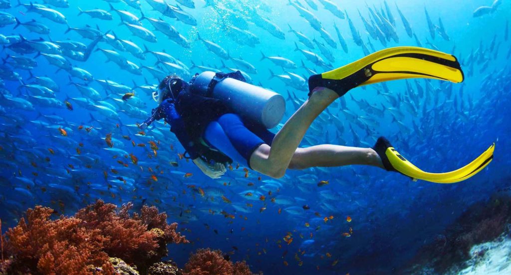 Scuba Diving: Best Experience for Your Vacations!