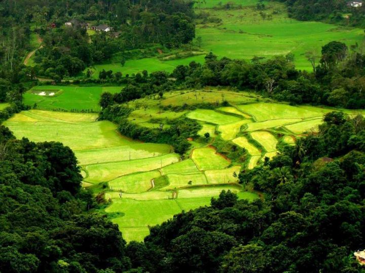 Explore the most fascinating places in Coorg