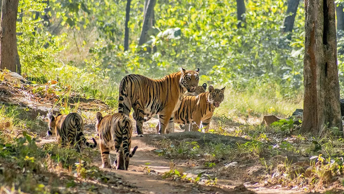 Pachmarhi: Beautiful Hill station with Great Falls