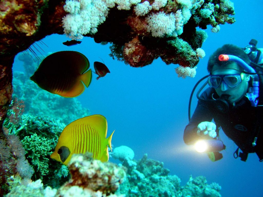 Goa's Most Exclusive Water Sports Scuba Diving