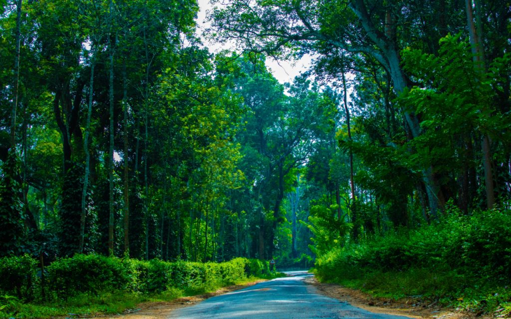  Explore the famous places in Coorg
