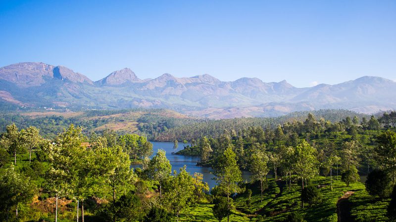 Best Places to Visit in Ooty