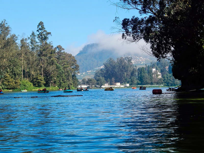 Best Places to Visit in Ooty