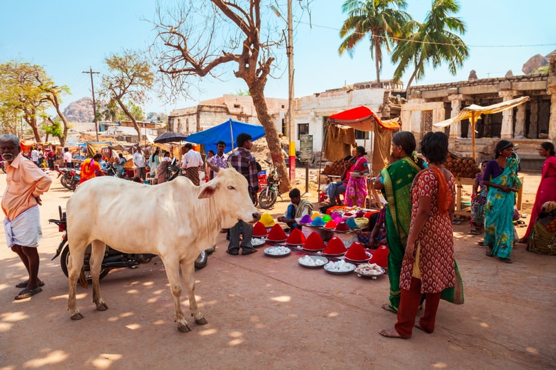Hampi Mahotsav: Glory of the Hampi